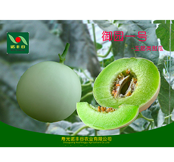 玉菇類(lèi)甜瓜